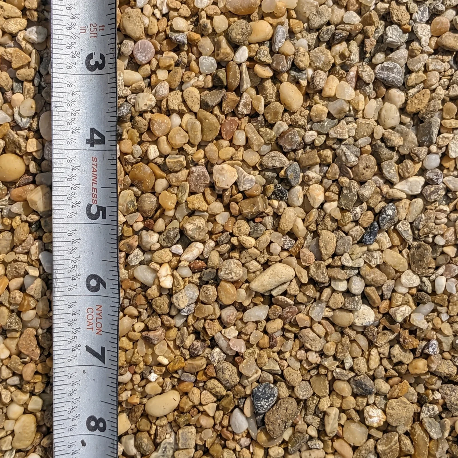 Golden Pea Gravel — photo 5