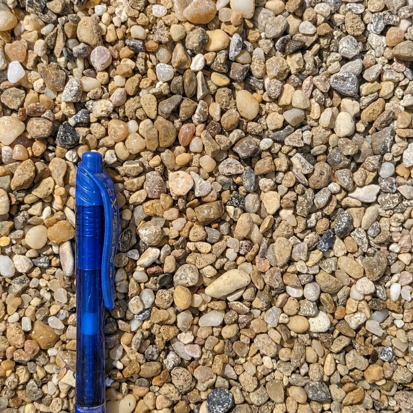 Golden Pea Gravel — photo 6