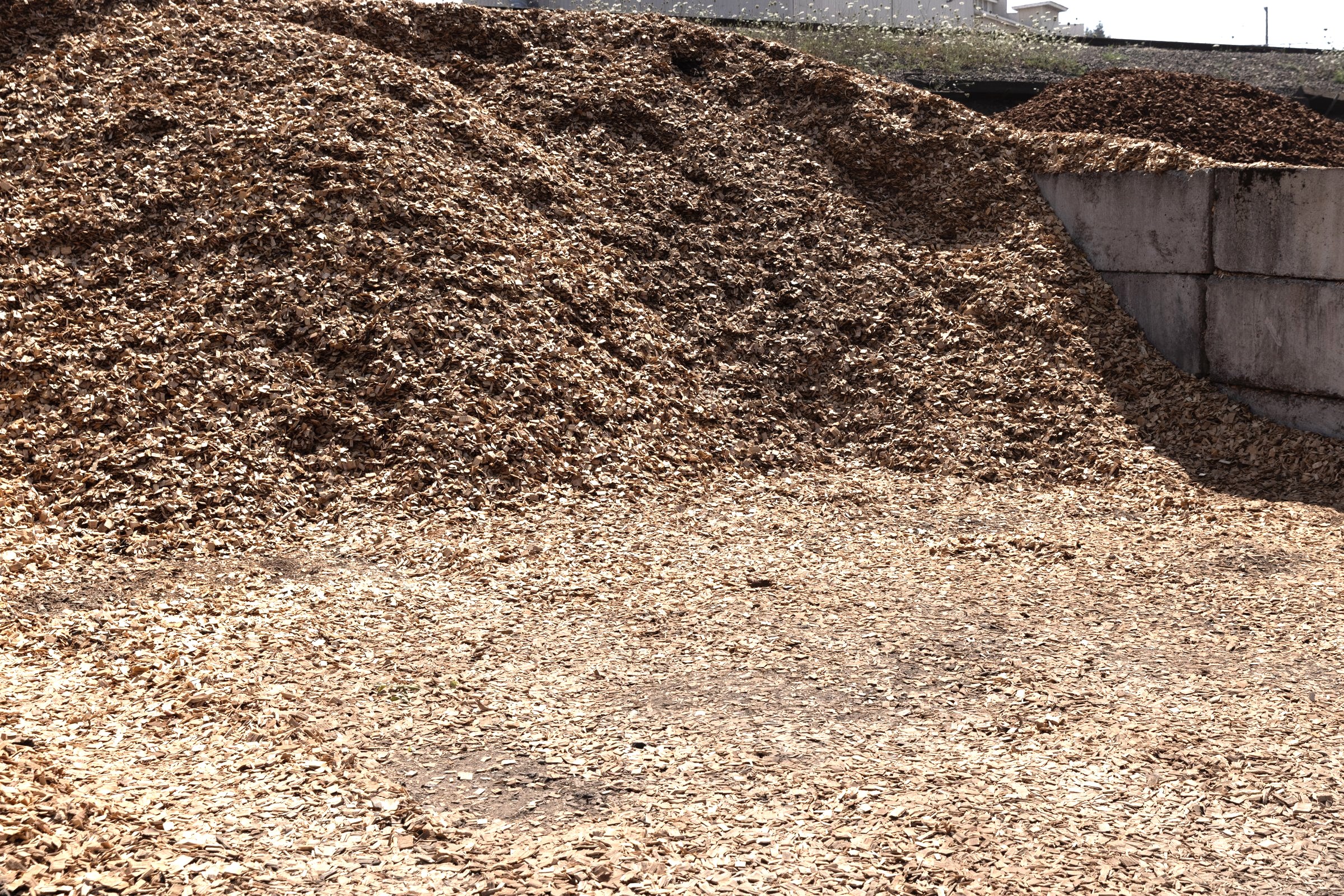 Hardwood Chips — photo 3