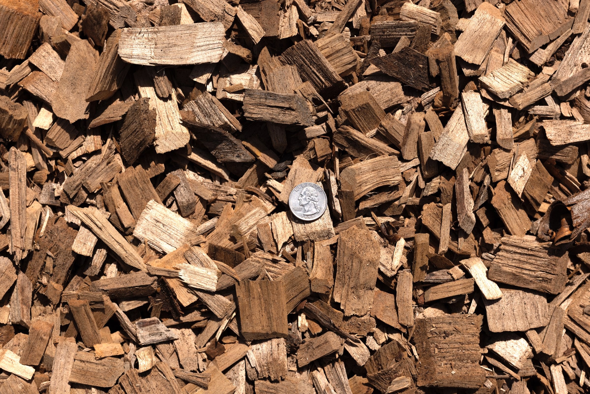 Hardwood Chips — photo 4