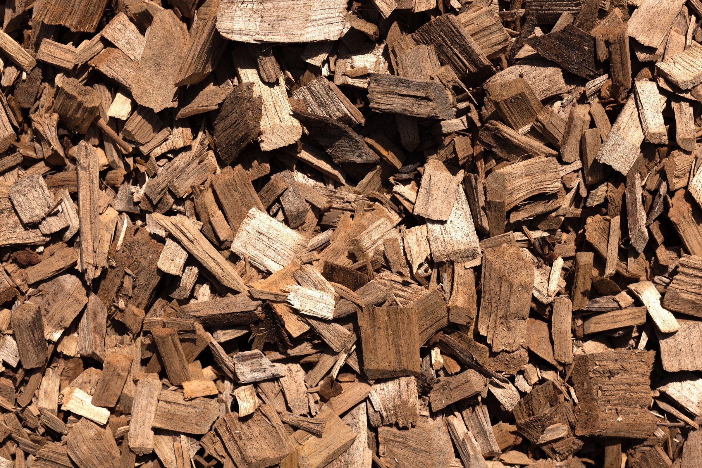 Hardwood Chips — photo 5