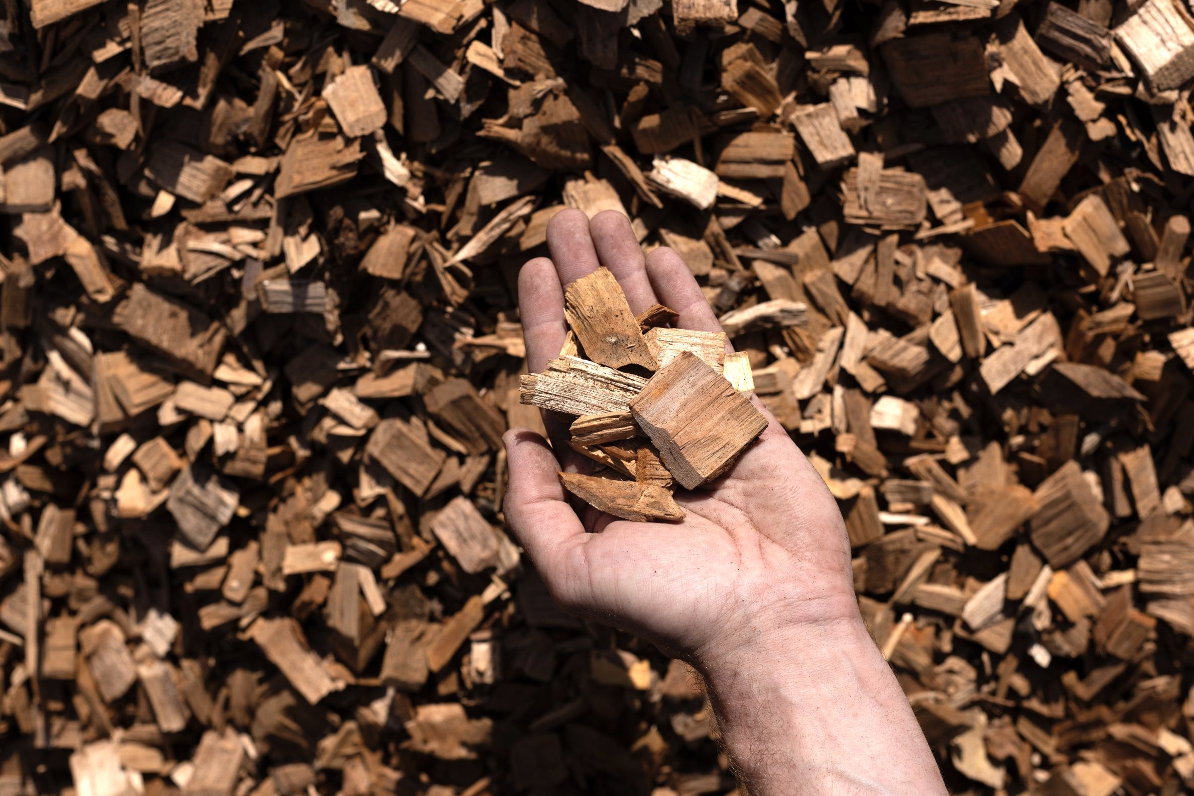 Hardwood Chips