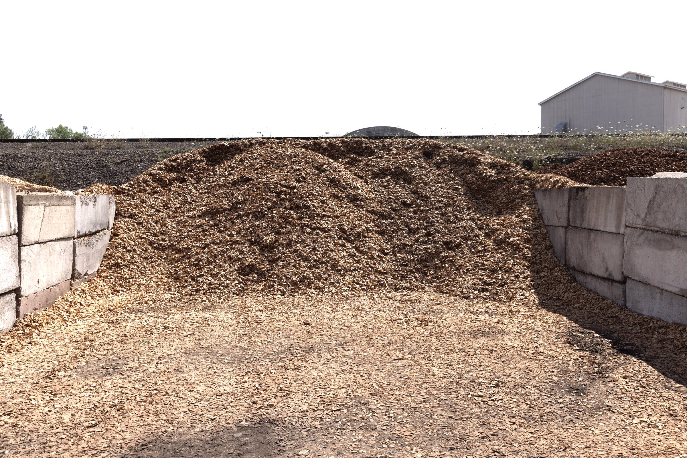 Hardwood Chips — photo 2