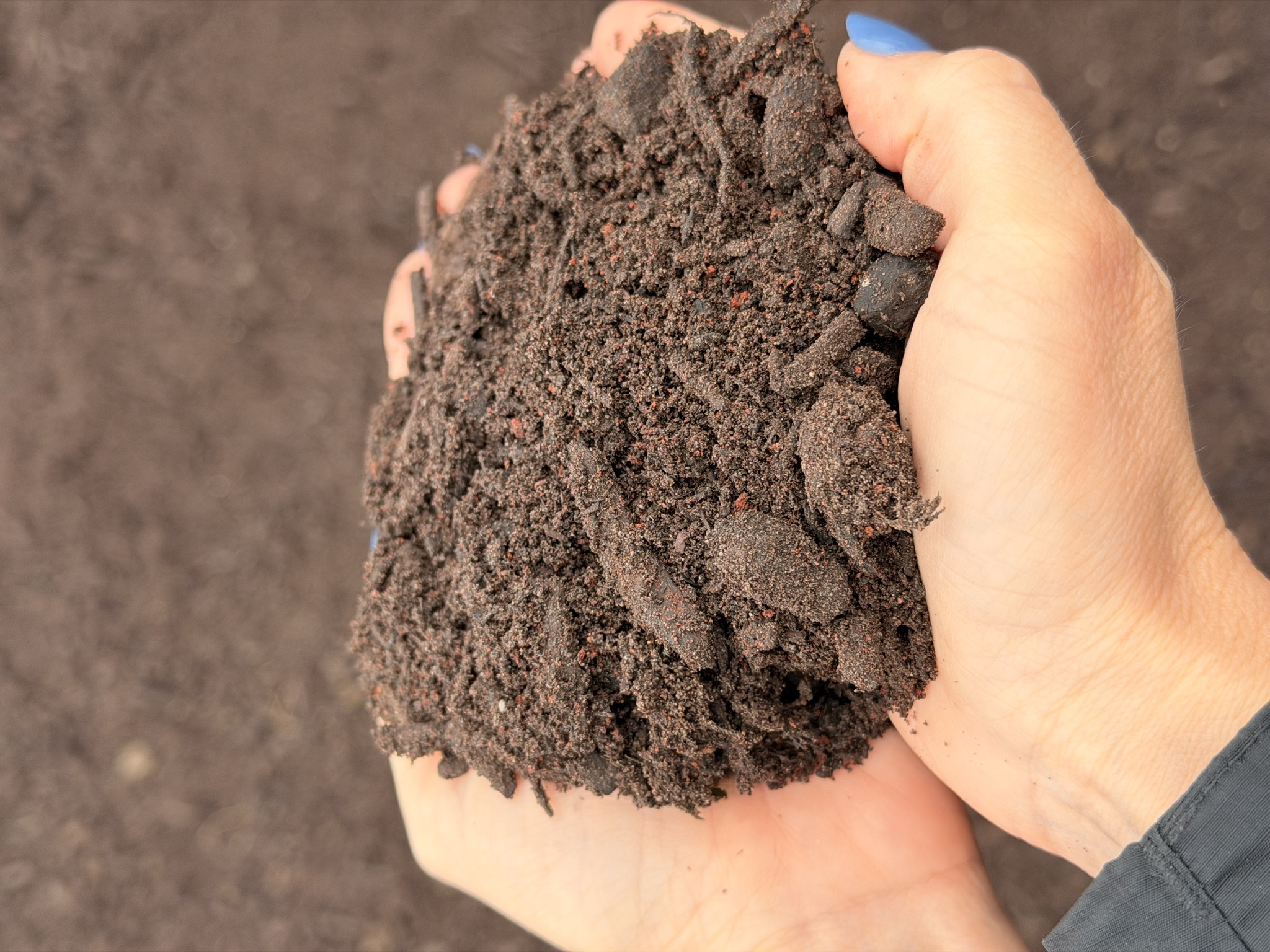Lava Sand Planting Mix — photo 2