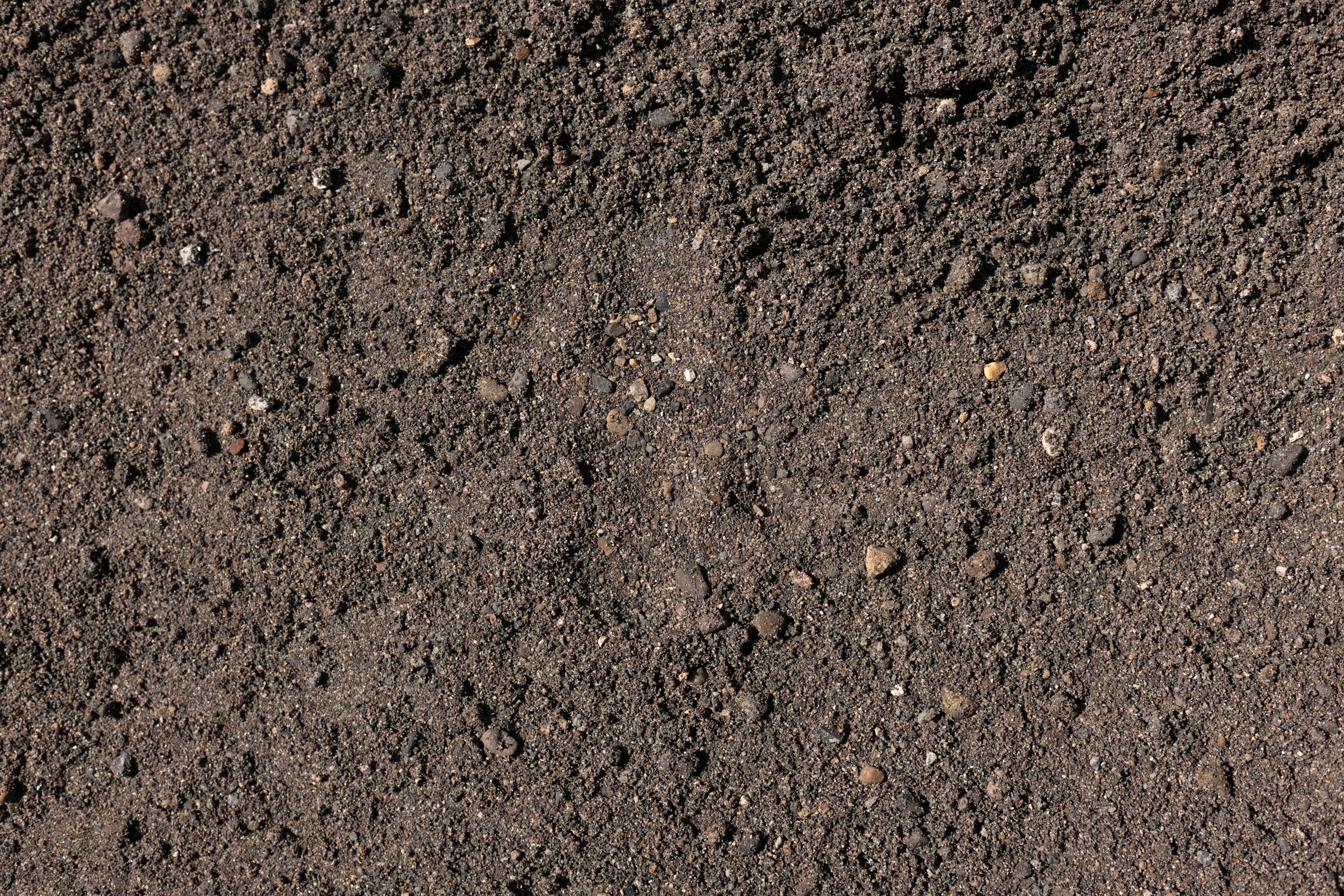 Mason Sand — photo 4
