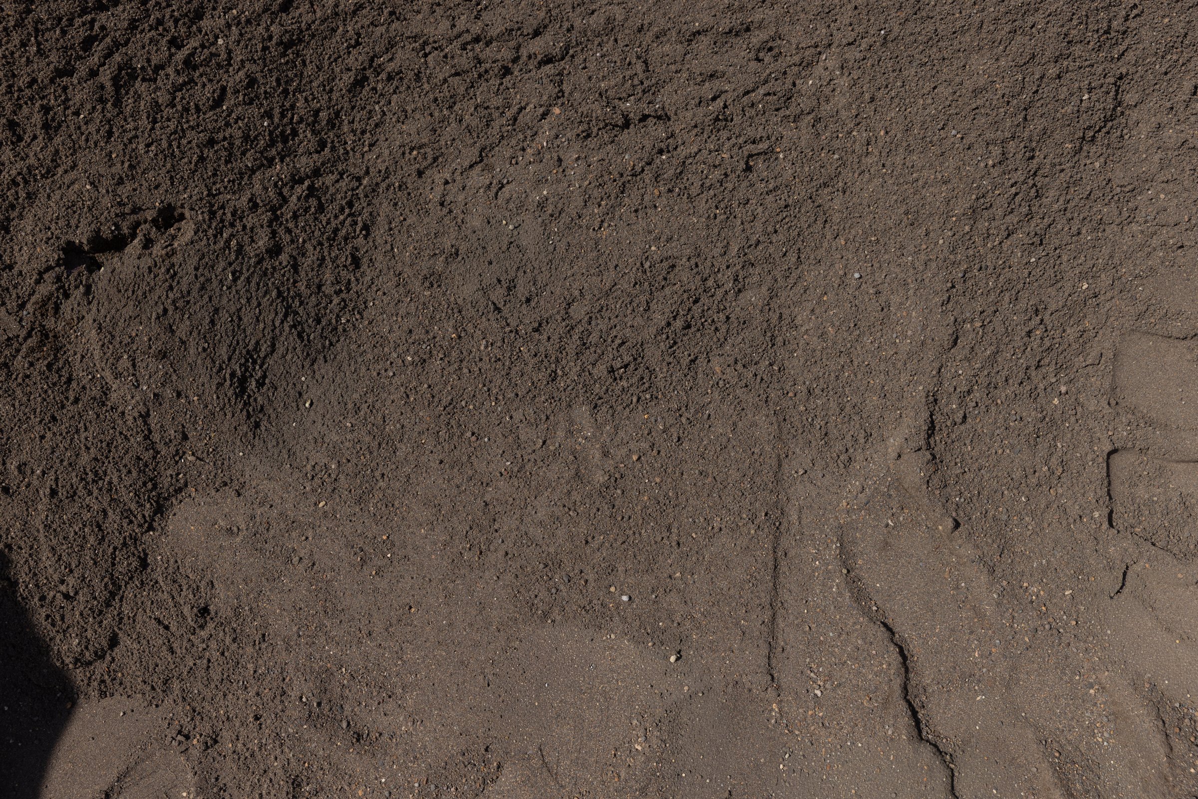 Mason Sand — photo 5