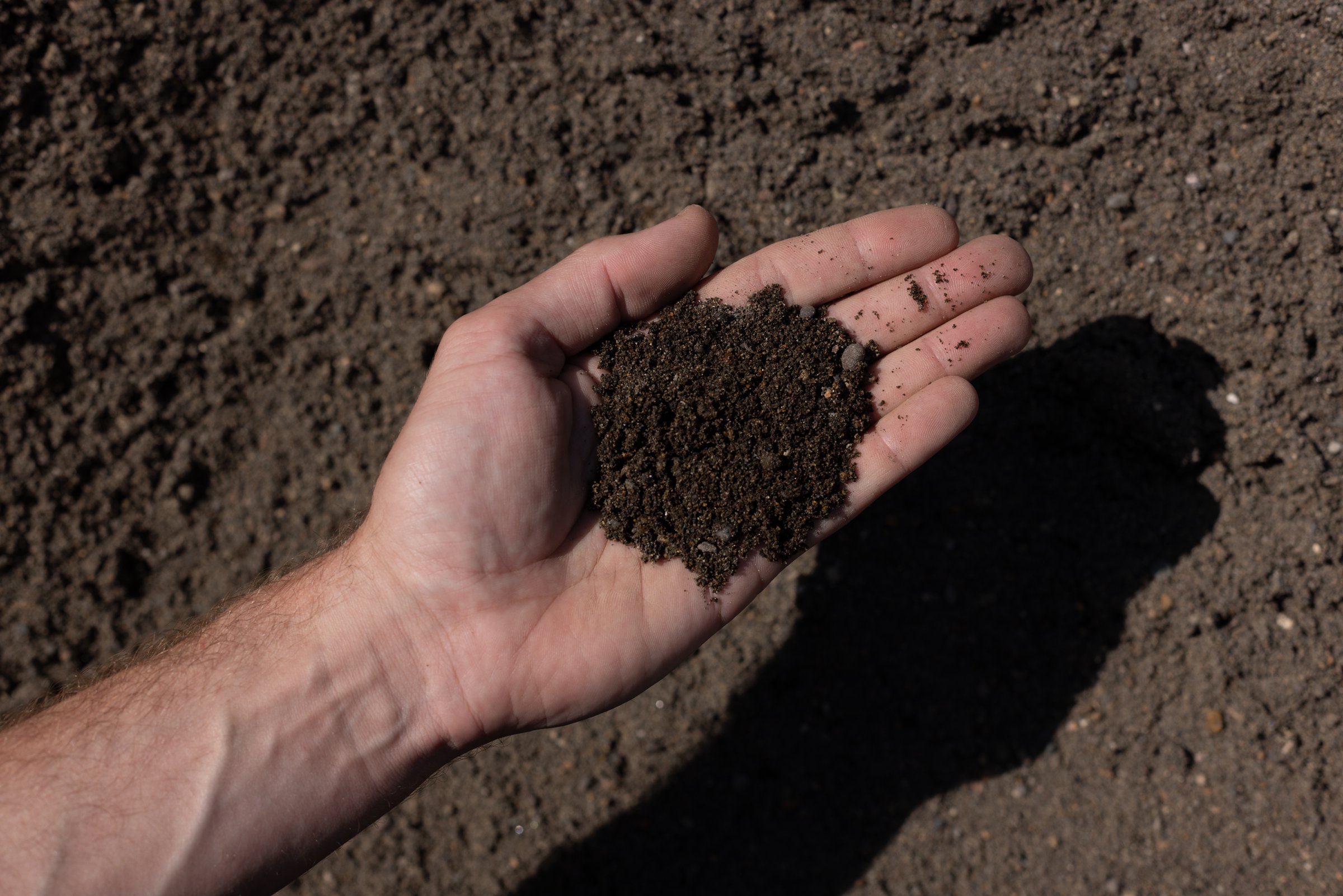 Mason Sand