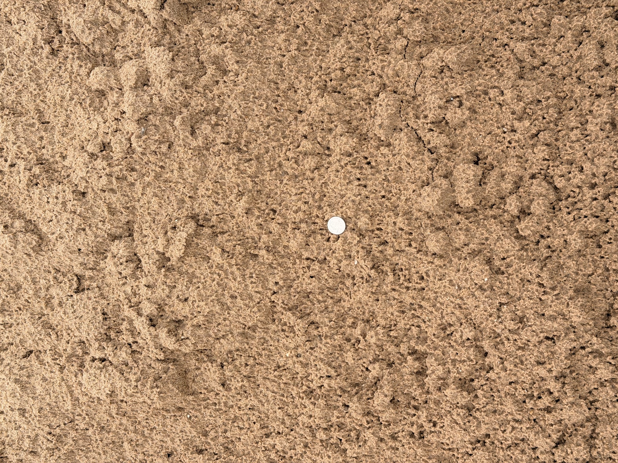 Masonry Sand — photo 2