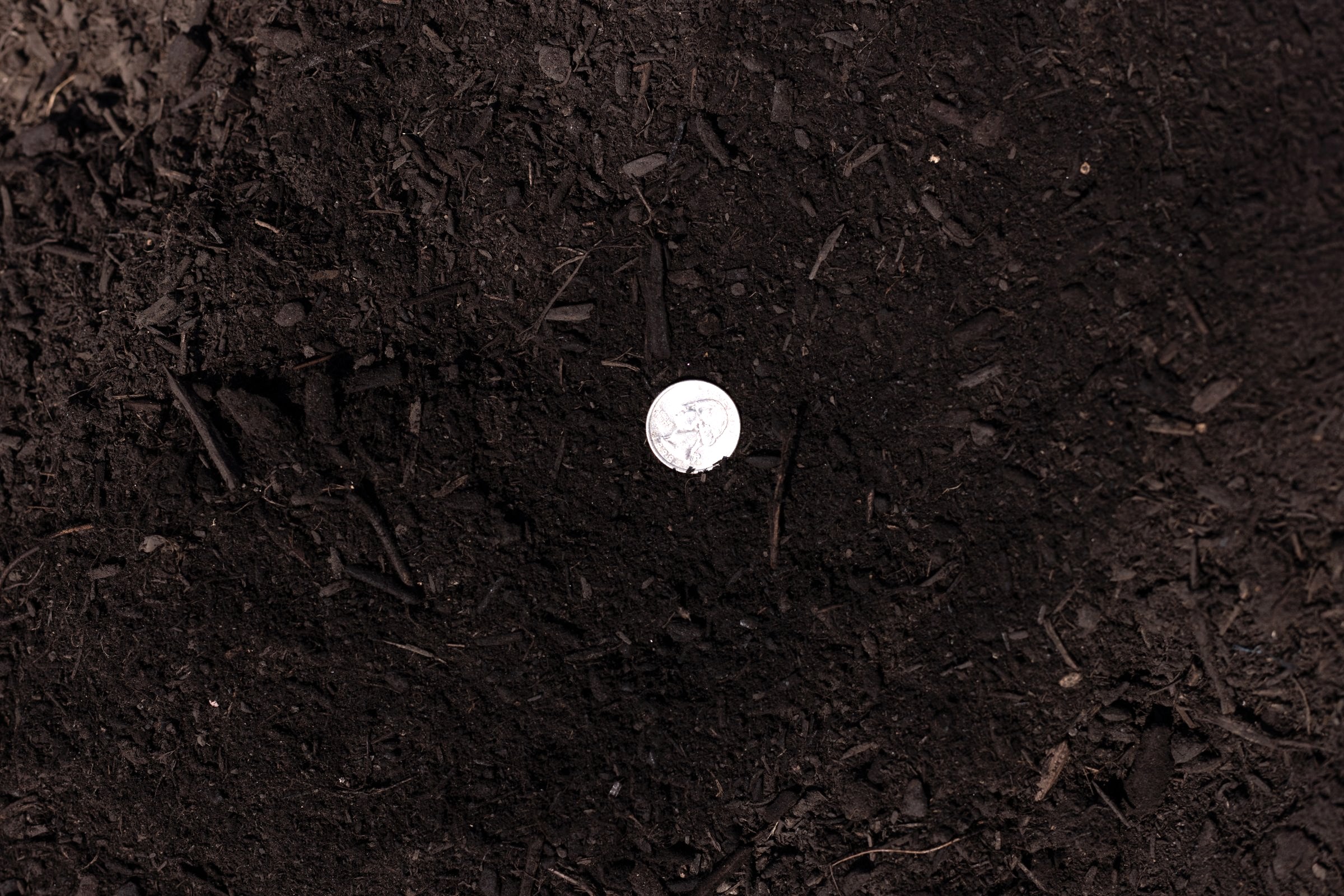 Organic Garden Compost — photo 3