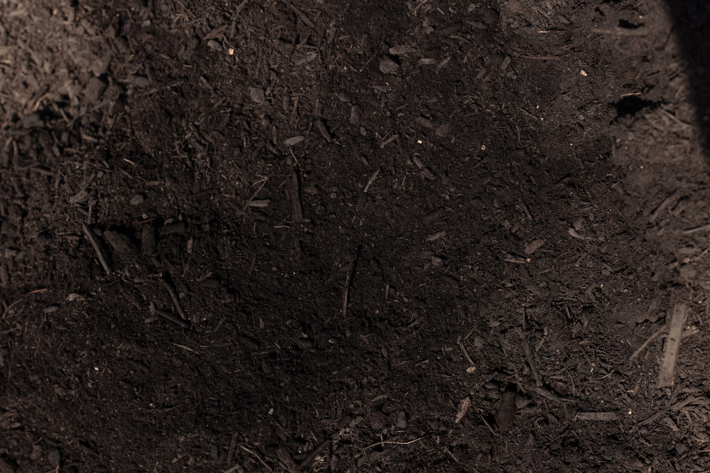 Organic Garden Compost — photo 4