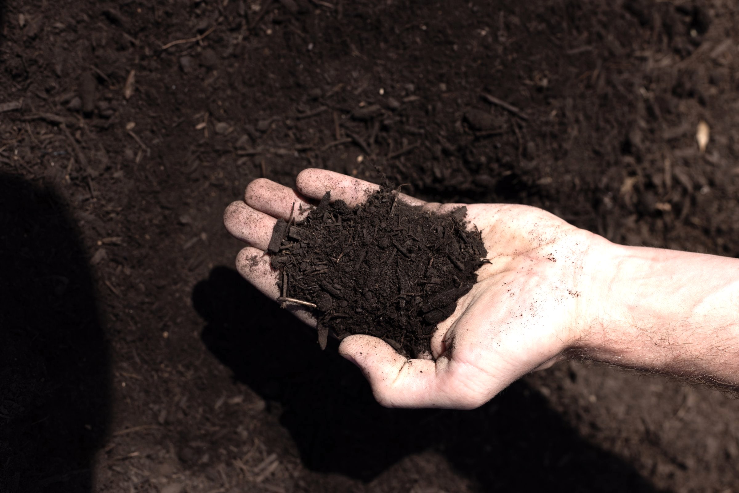 Organic Garden Compost