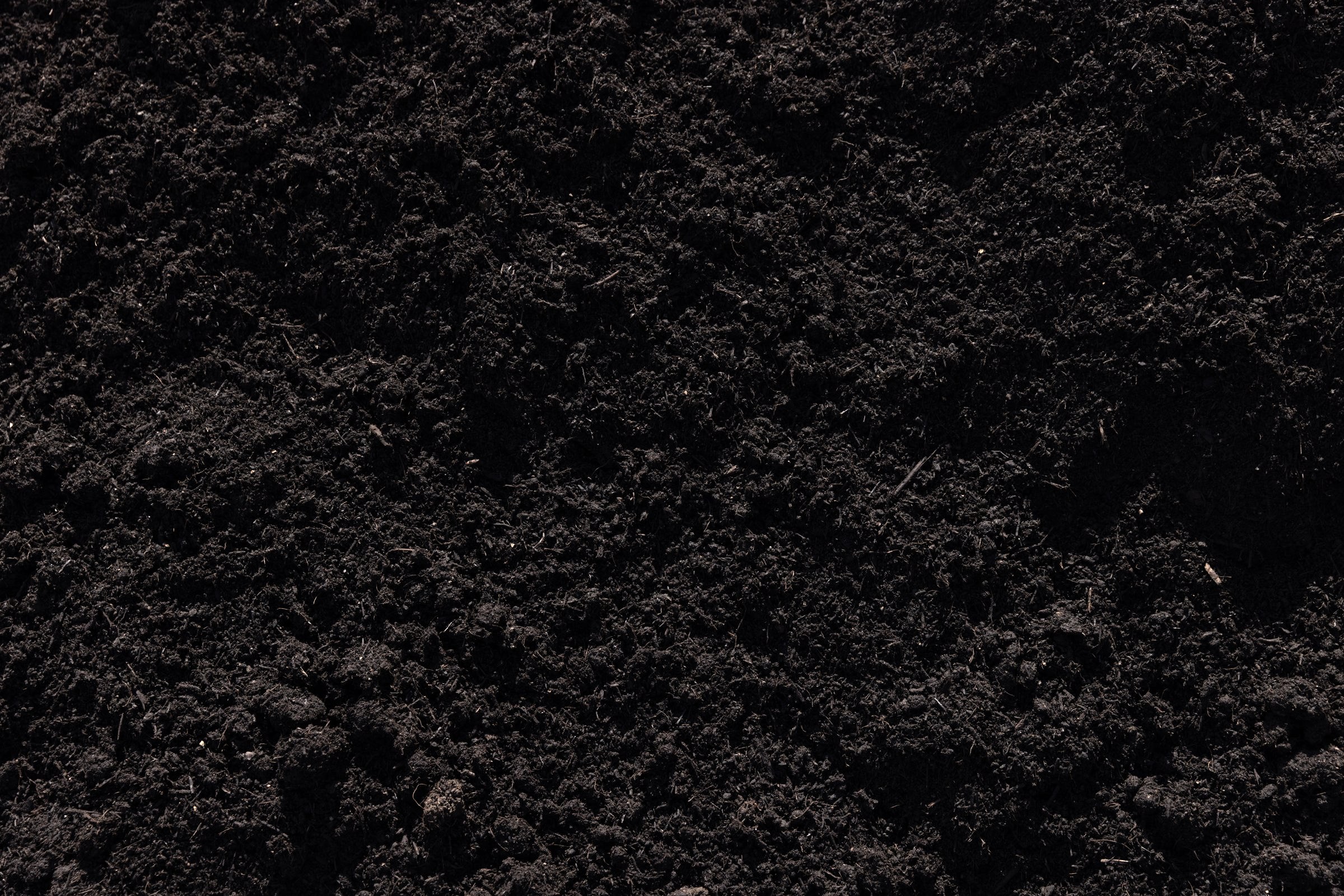 Organic Garden Compost — photo 5