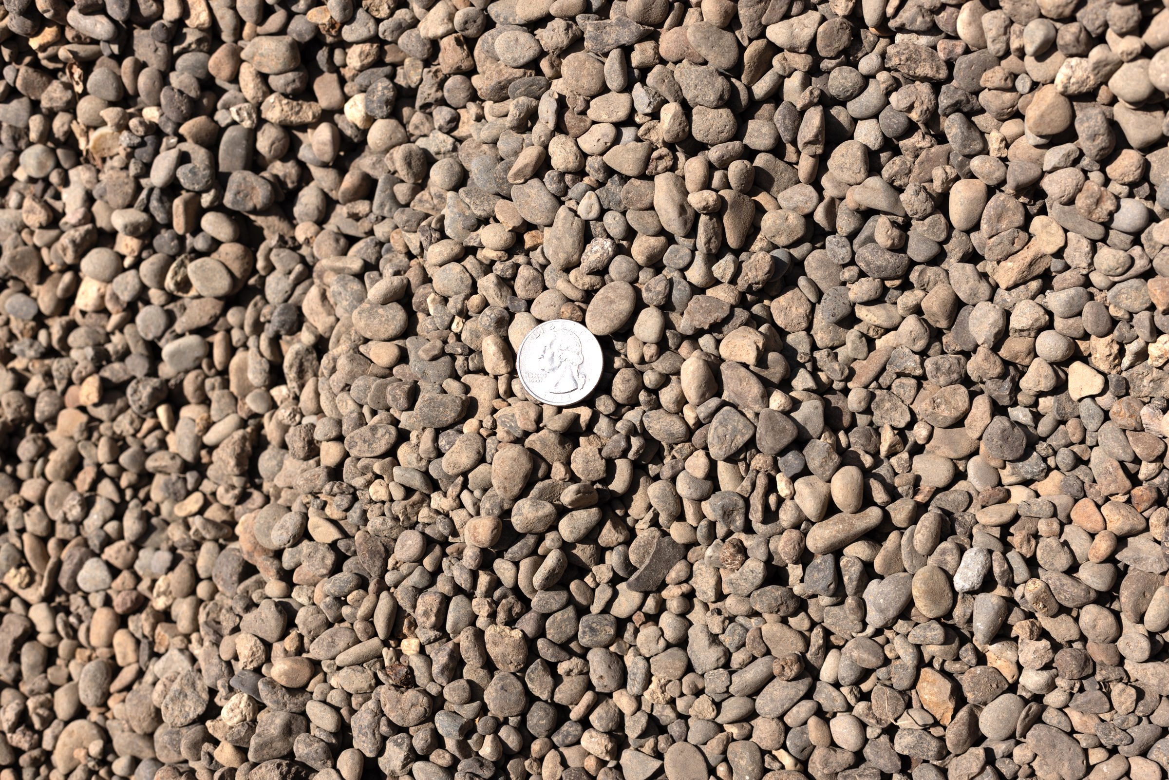 Pea Gravel — photo 3