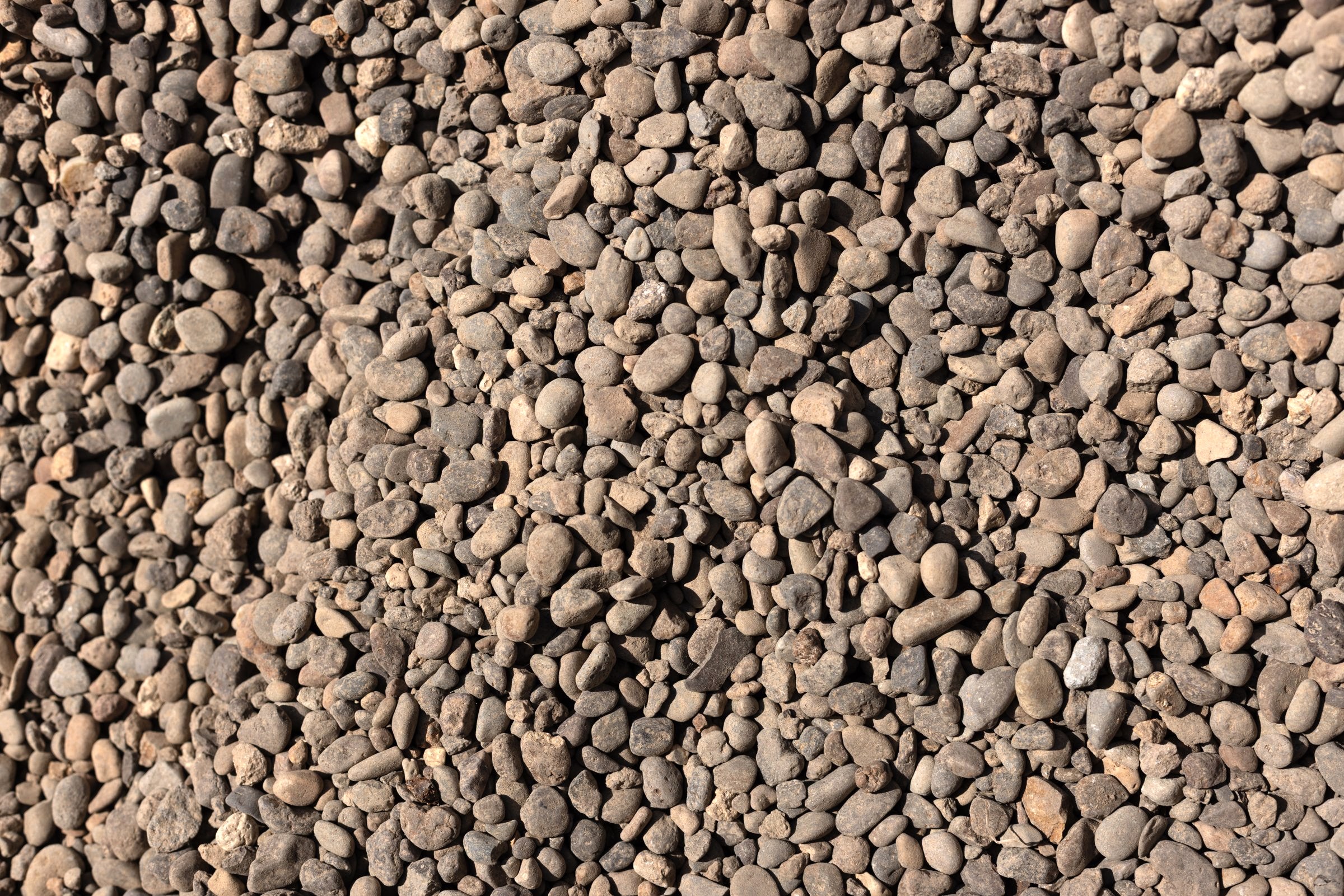 Pea Gravel — photo 4