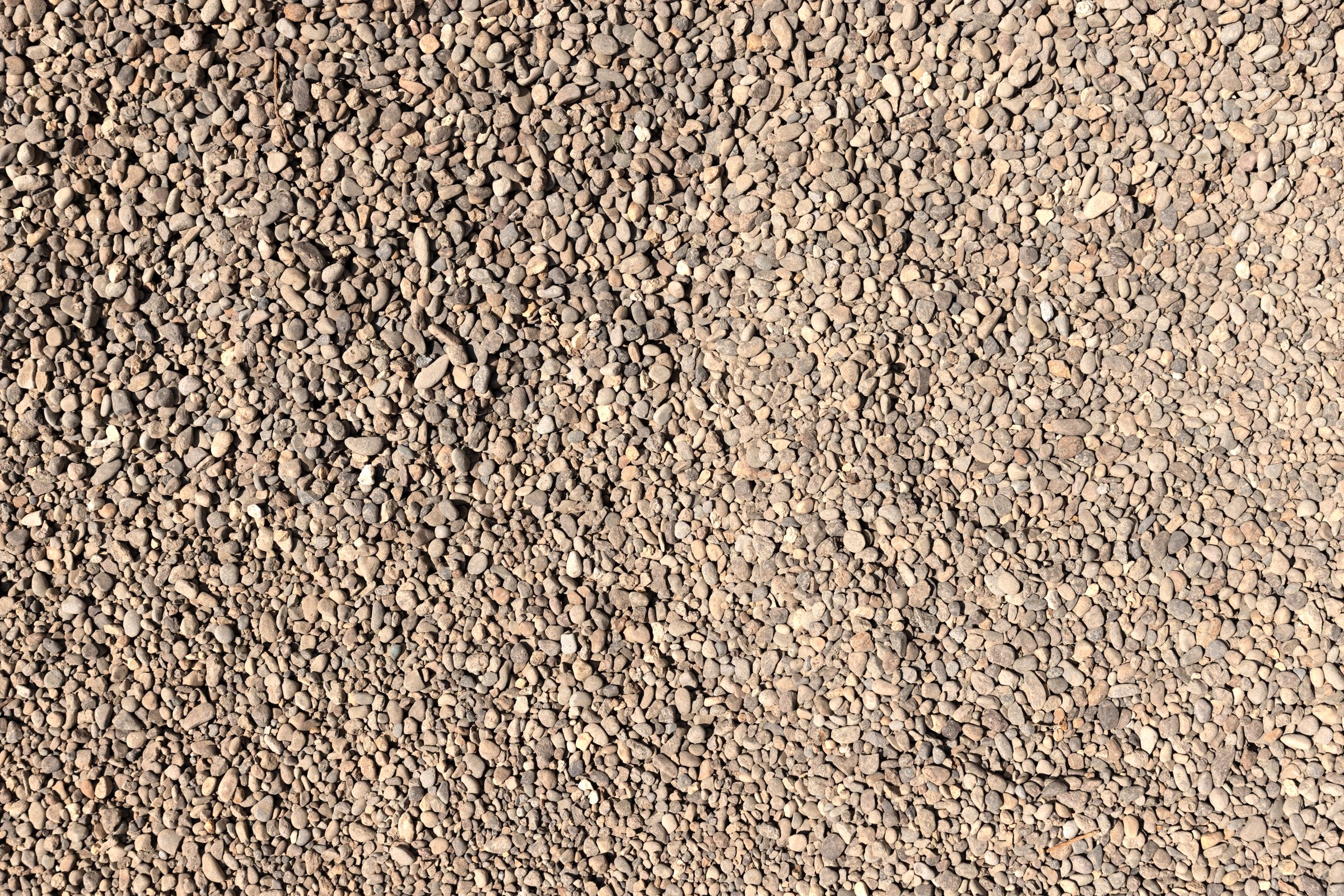 Pea Gravel — photo 5