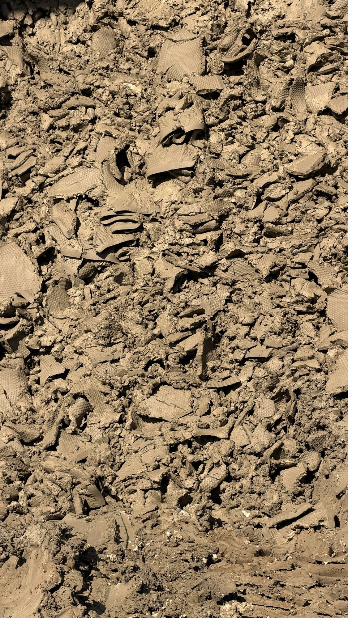 Pond Clay — photo 2