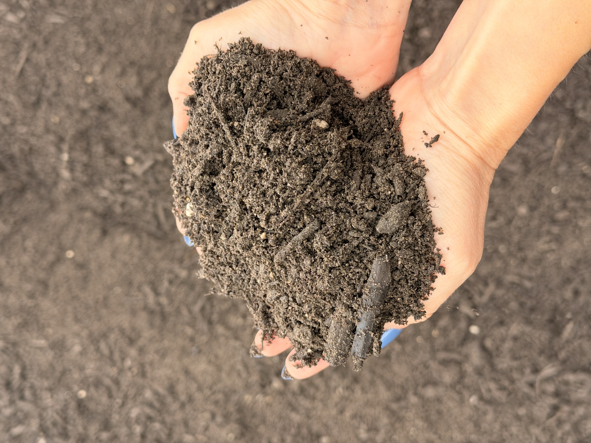 Premium Soil Mix — photo 2