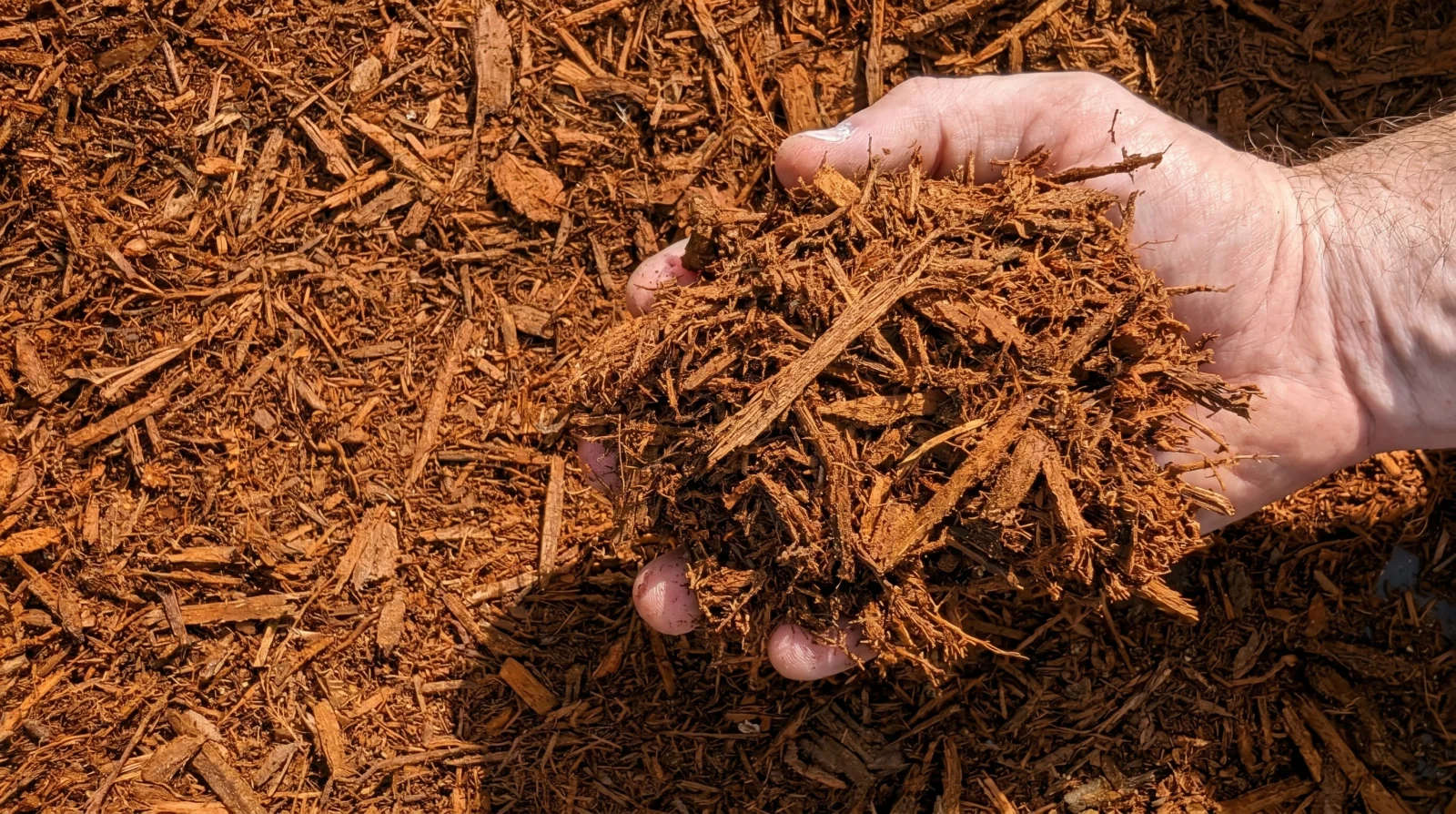 Red Hardwood Mulch — photo 3
