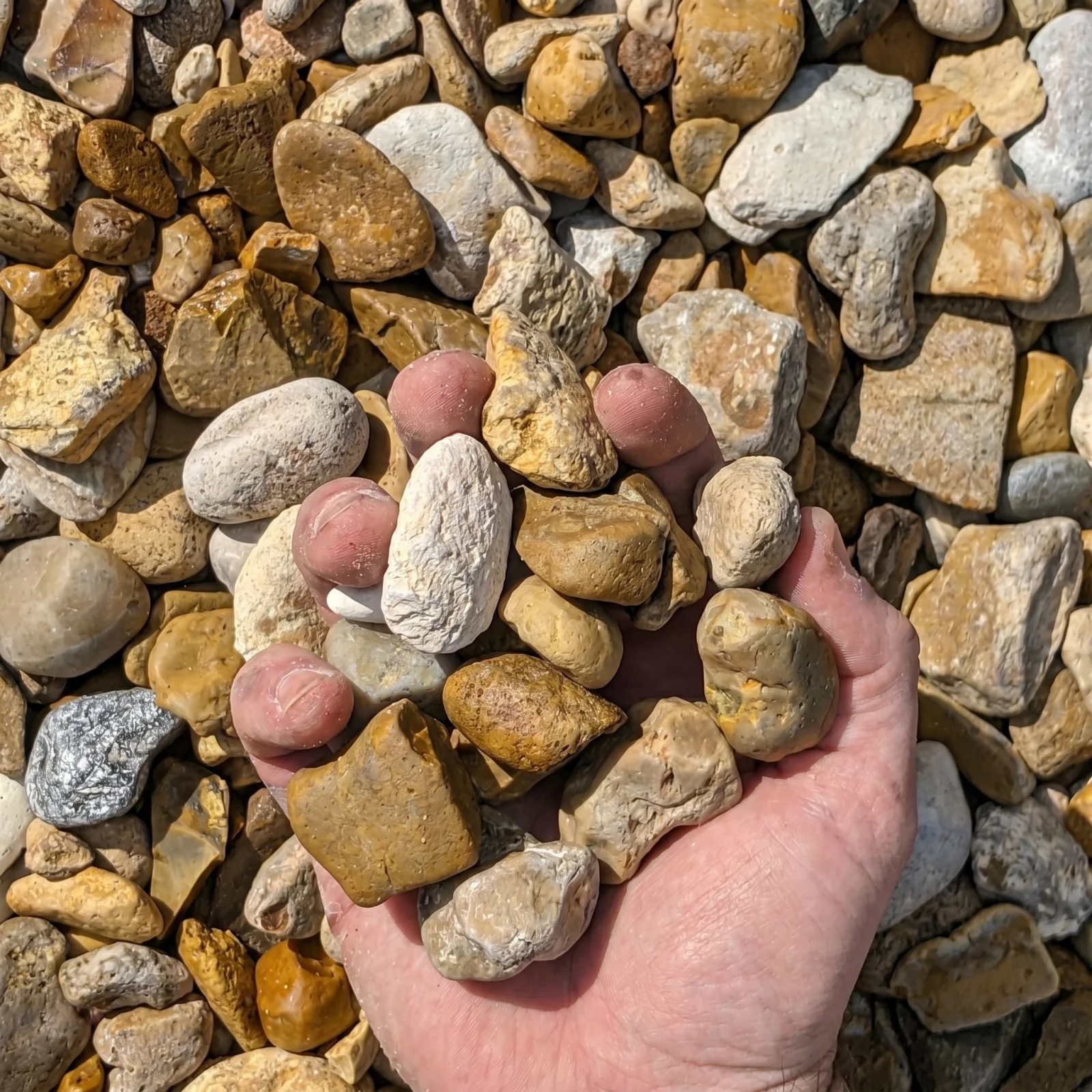 River Rock — photo 4