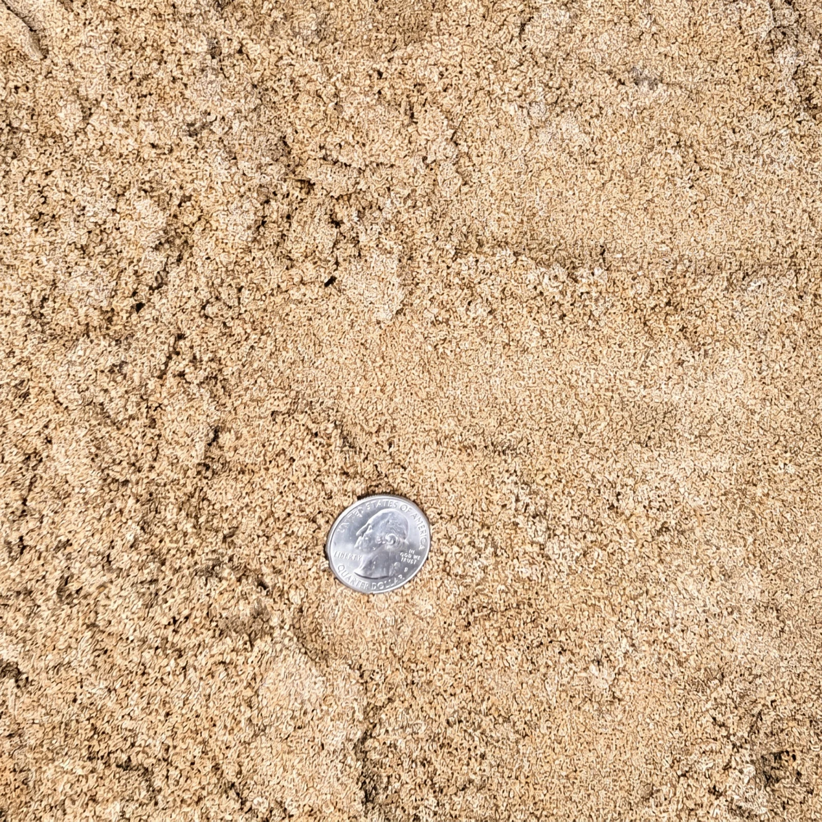 River Sand — photo 3