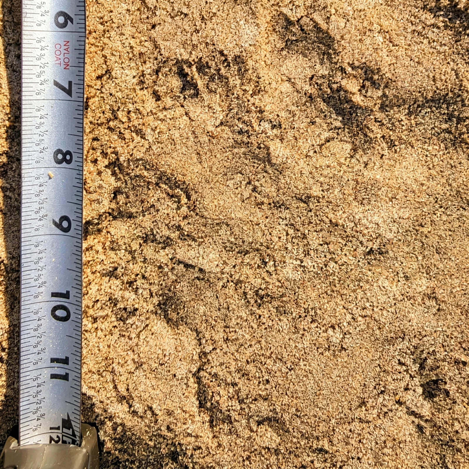 River Sand — photo 5