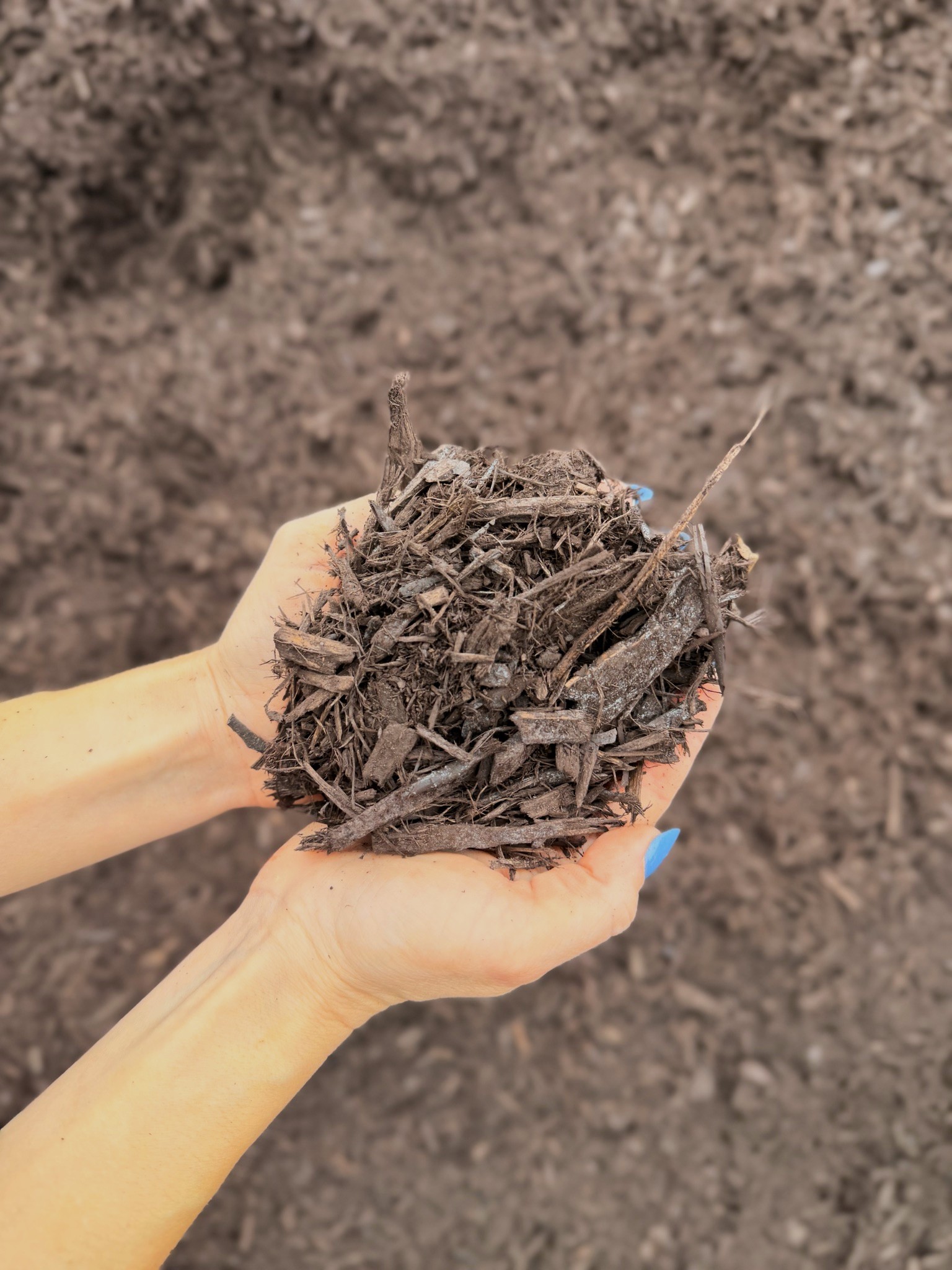 Saddle Brown Mulch — photo 2