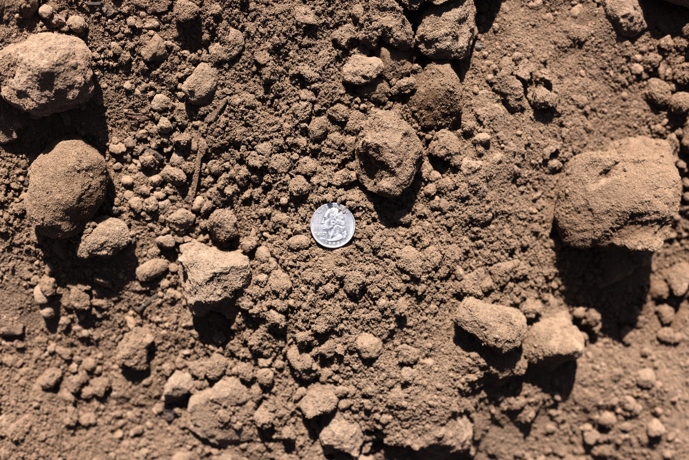 Sandy-loam Topsoil — photo 4
