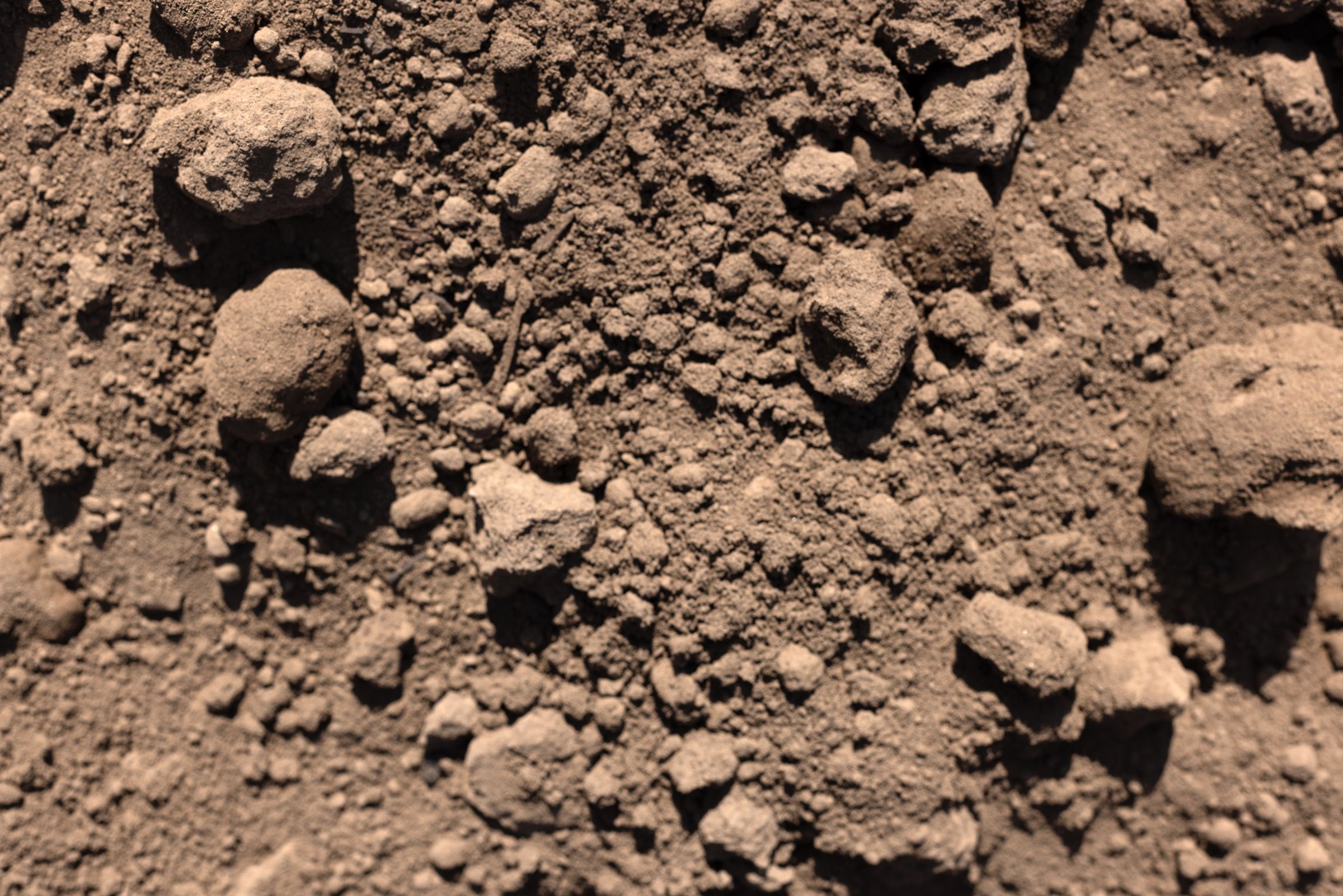 Sandy-loam Topsoil — photo 5