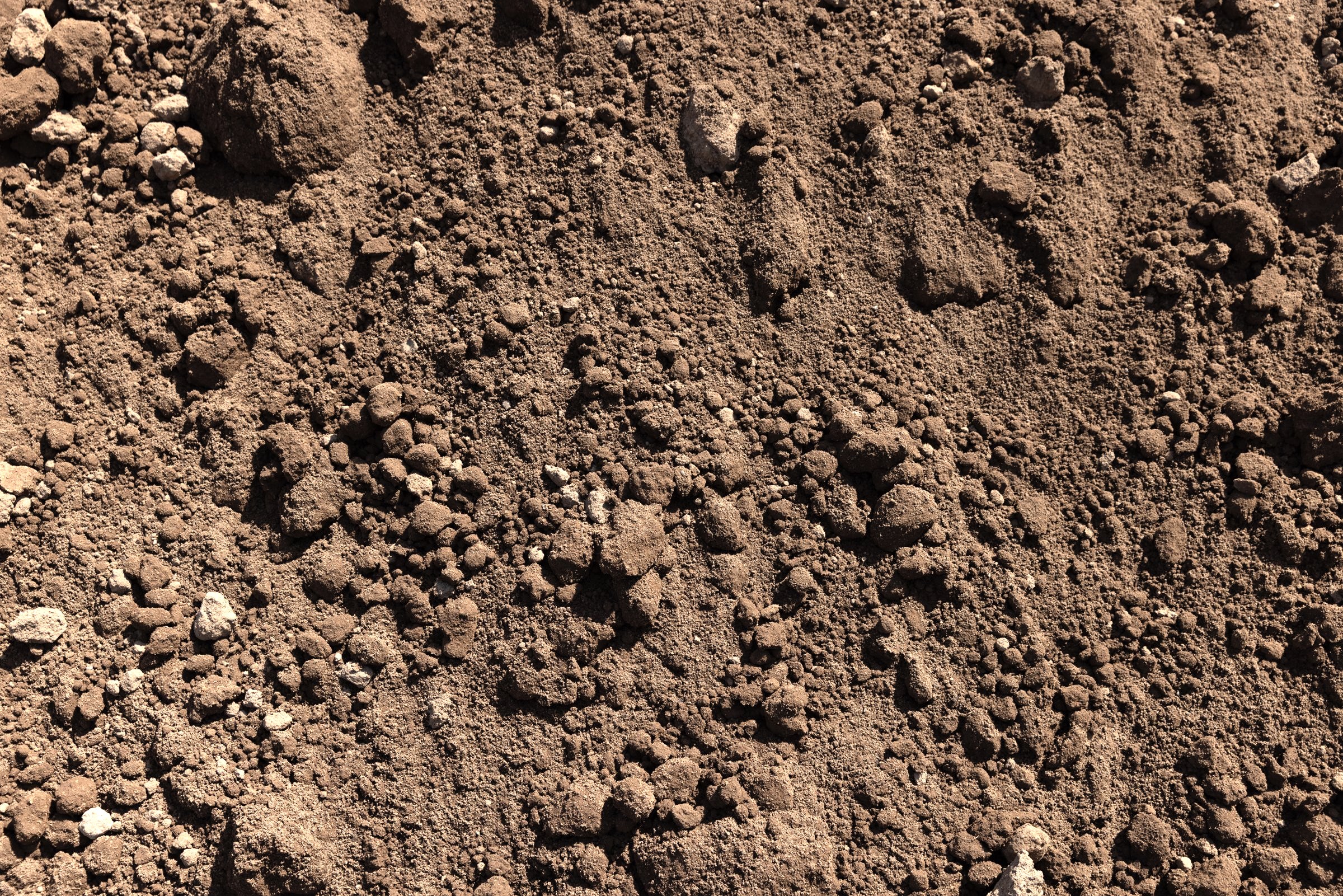Sandy-loam Topsoil — photo 6