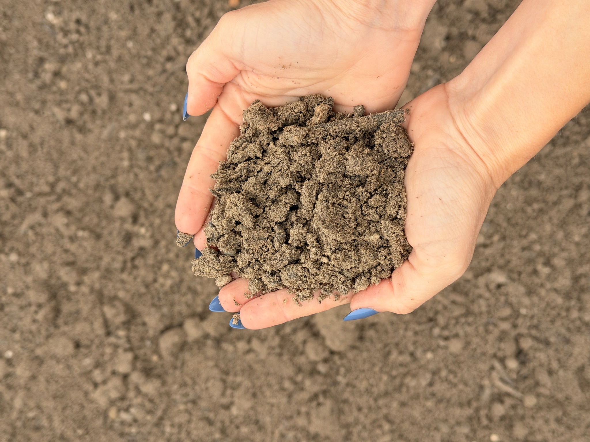 Sandy Soil Mix — photo 2
