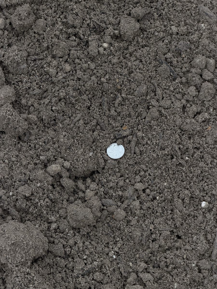 Sandy Soil Mix — photo 2
