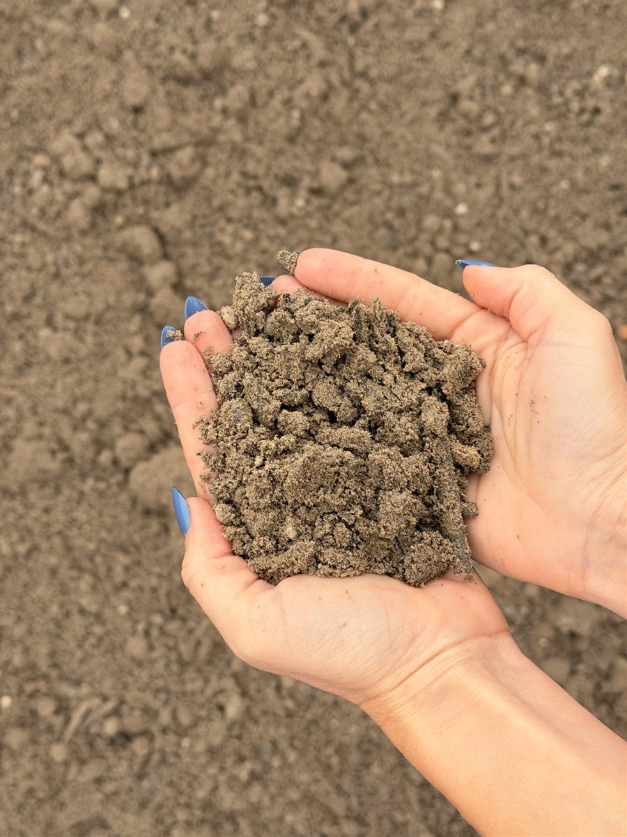 Sandy Soil Mix — photo 3
