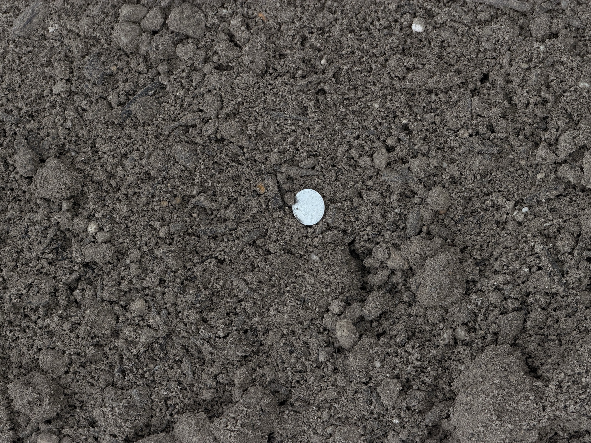Sandy Soil Mix