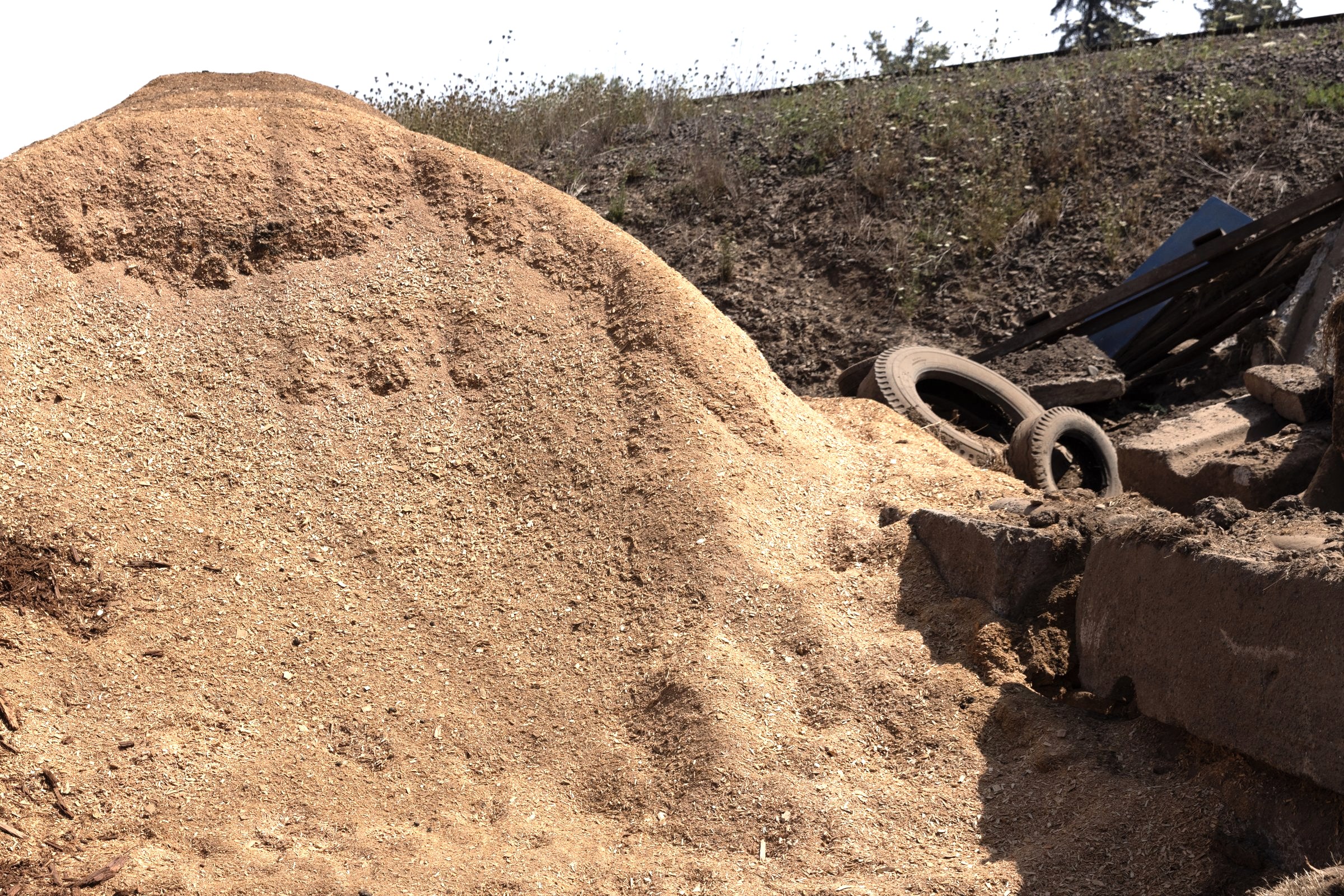Sawdust — photo 3