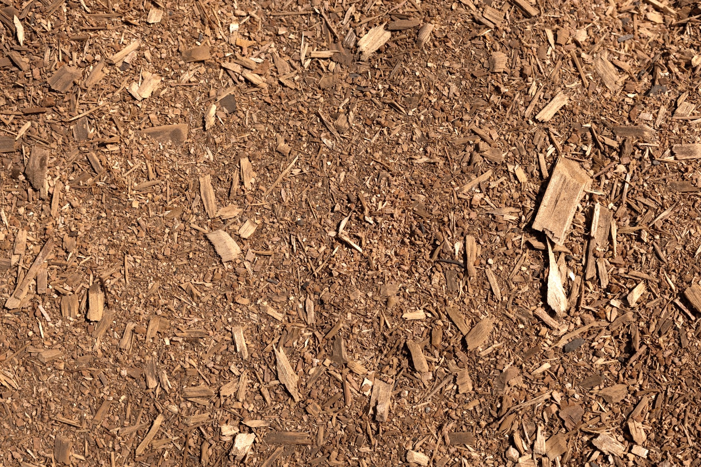 Sawdust — photo 5