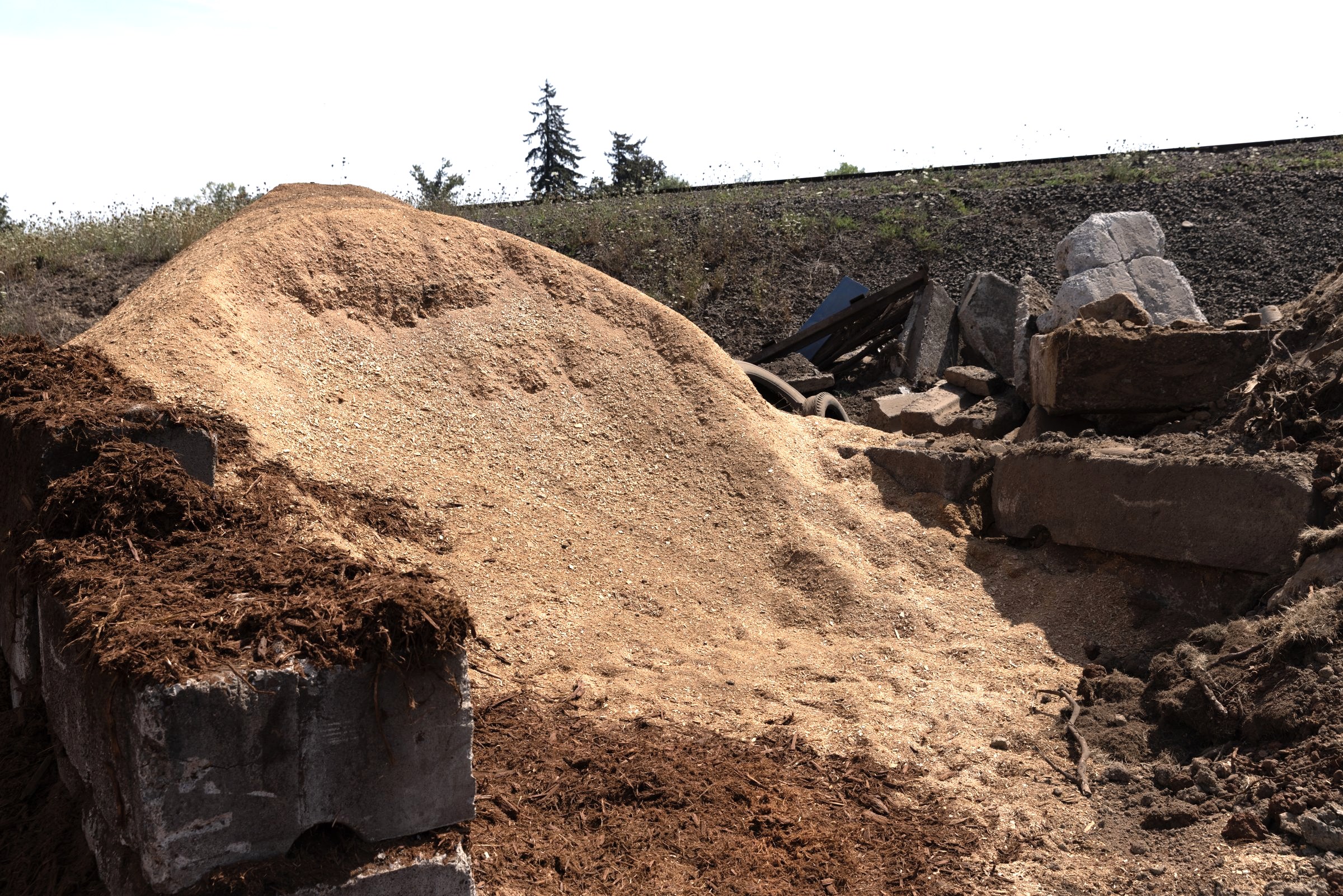 Sawdust — photo 2