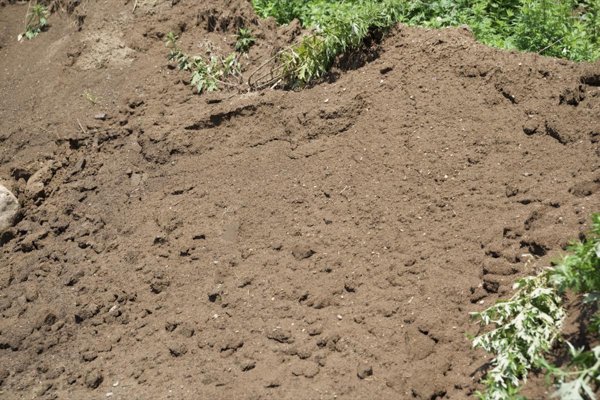 Premium Screened Topsoil thumbnail 3