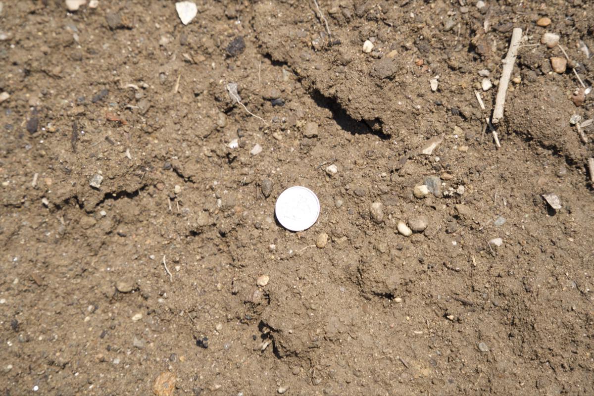 Premium Screened Topsoil thumbnail 4