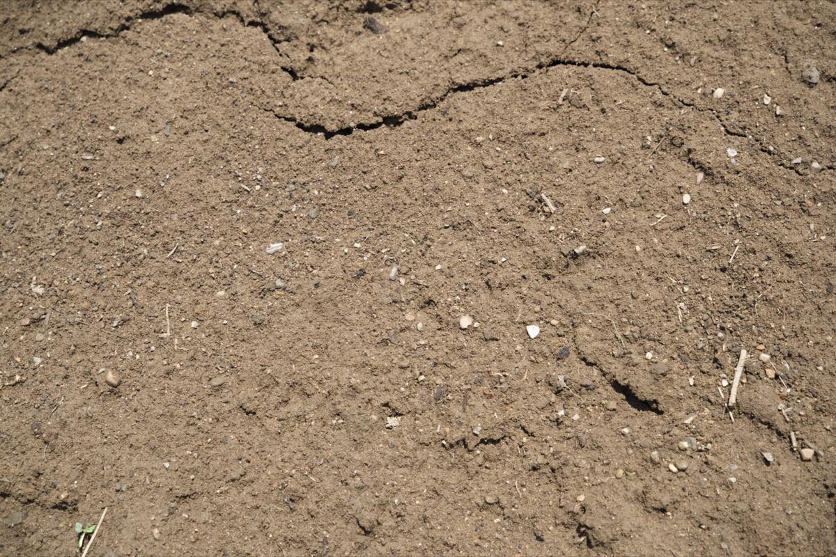 Premium Screened Topsoil thumbnail 2