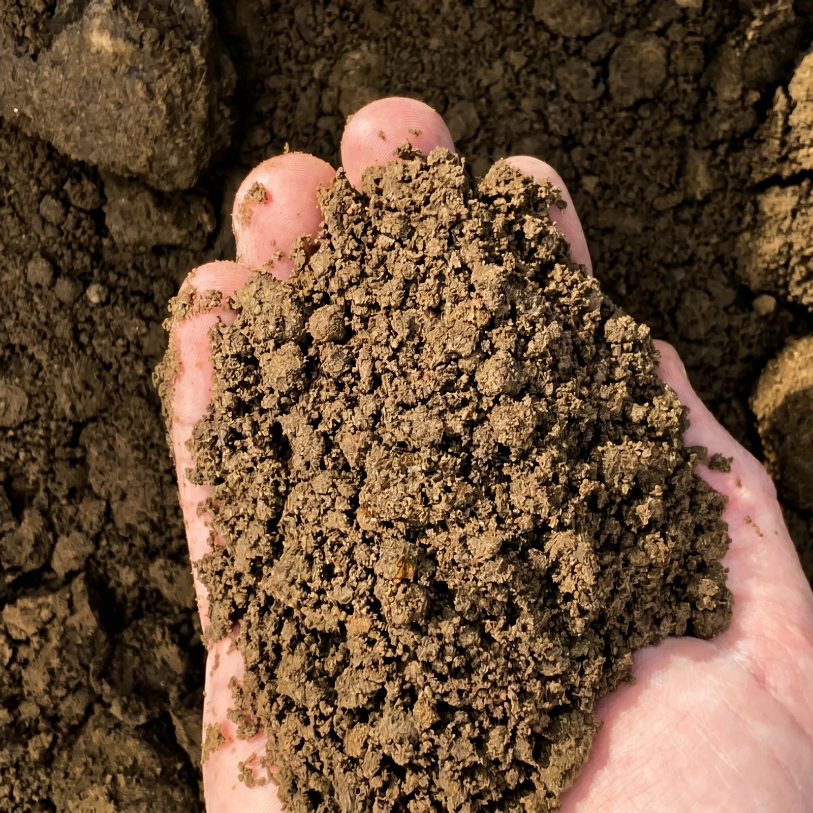 Spillway Dirt — photo 4