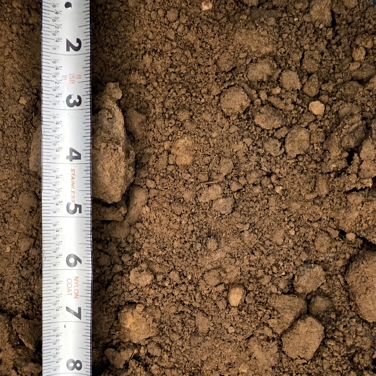 Spillway Dirt — photo 5