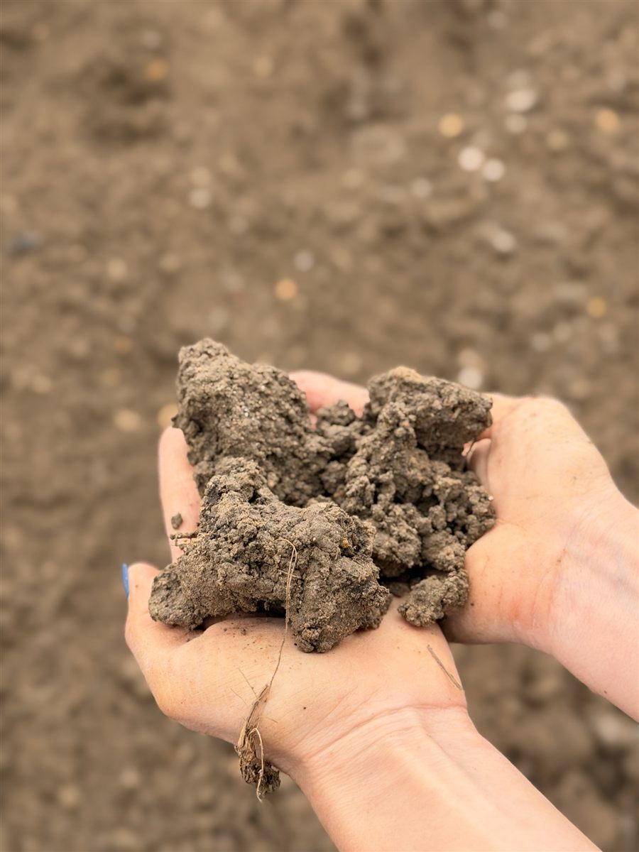 Top Soil Screened — photo 3