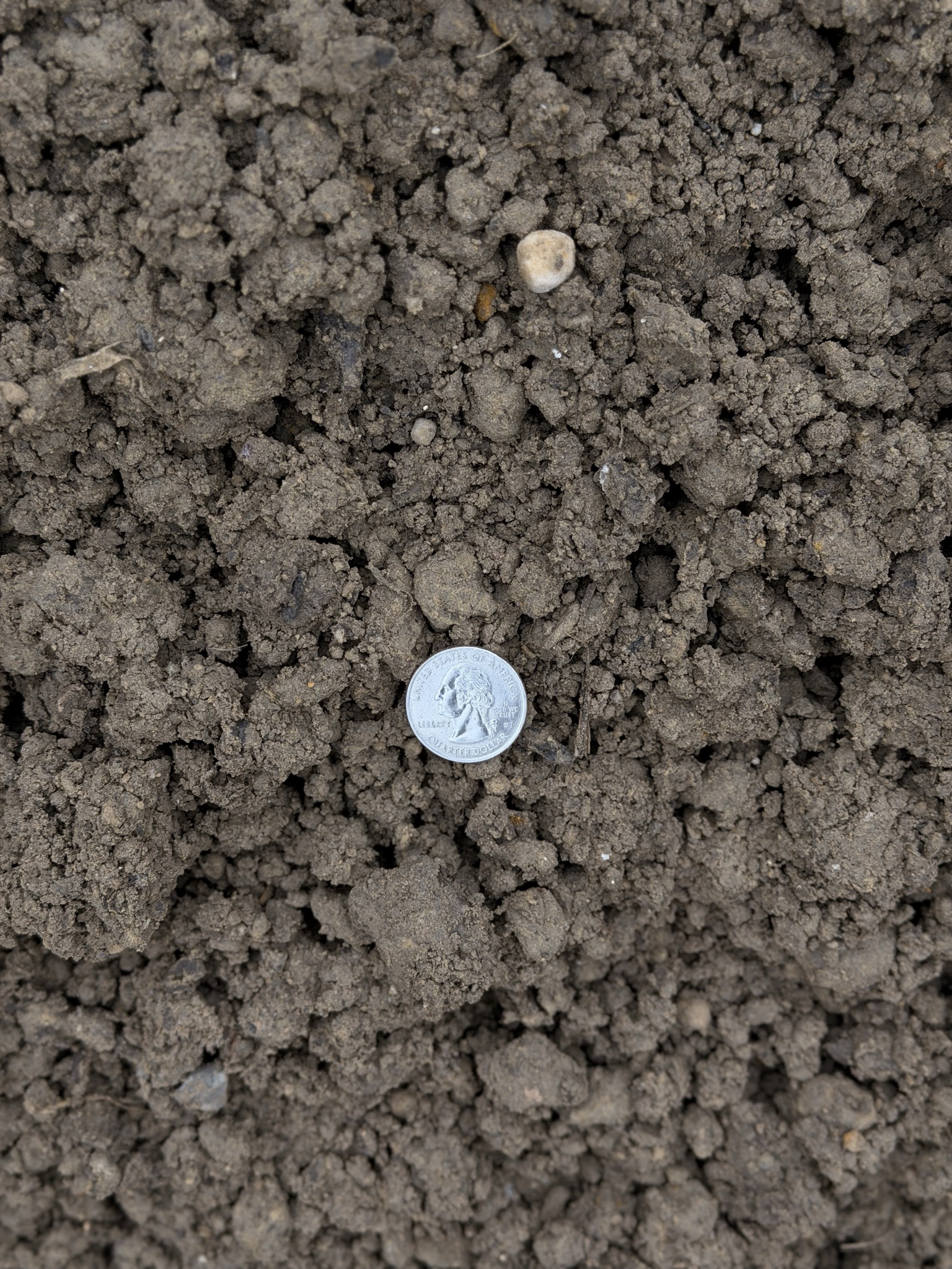 Top Soil Screened