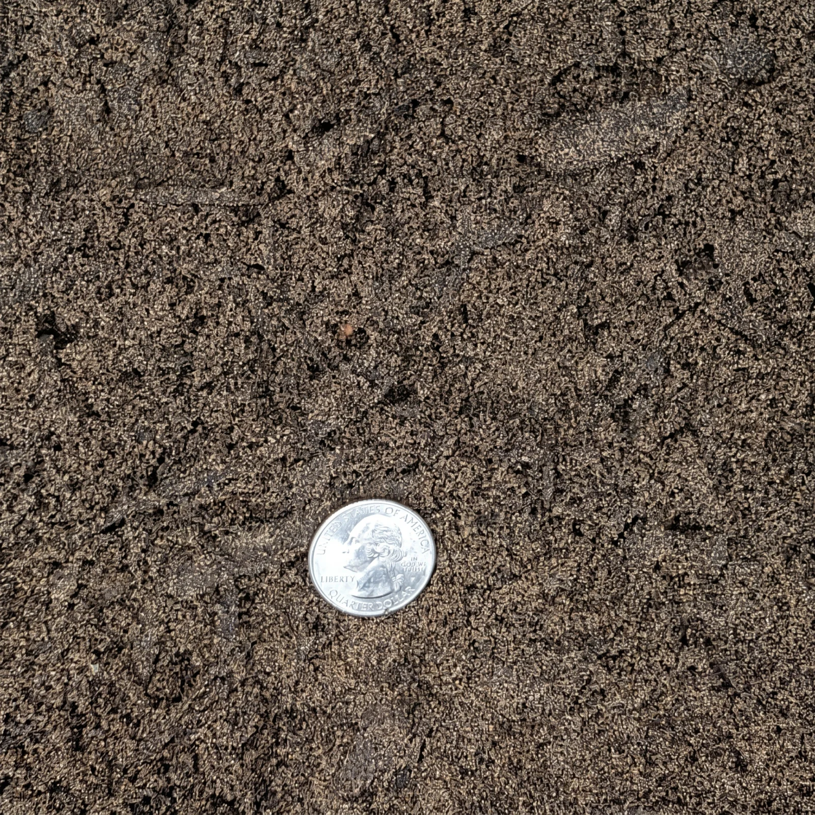 Topsoil — photo 3