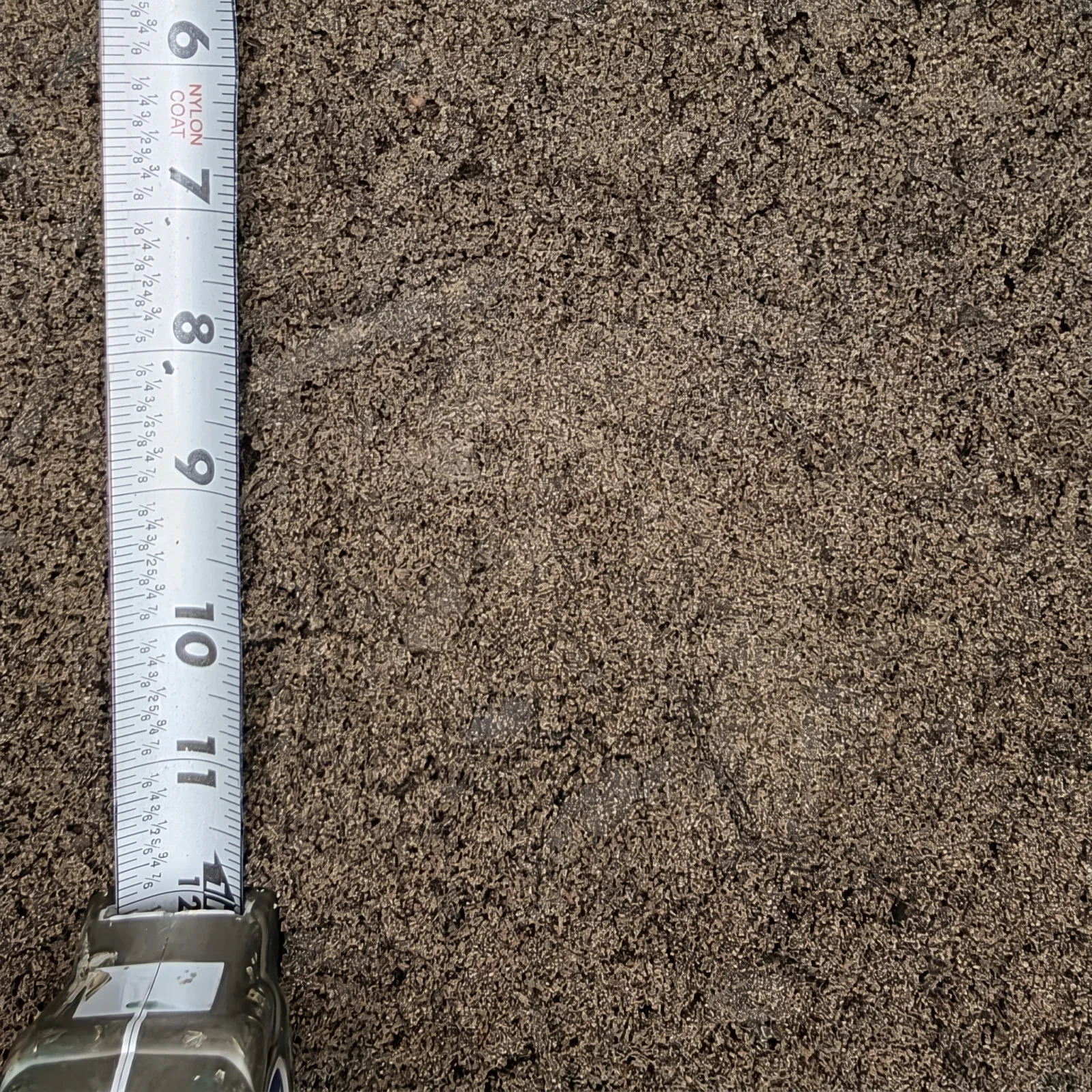 Topsoil — photo 5