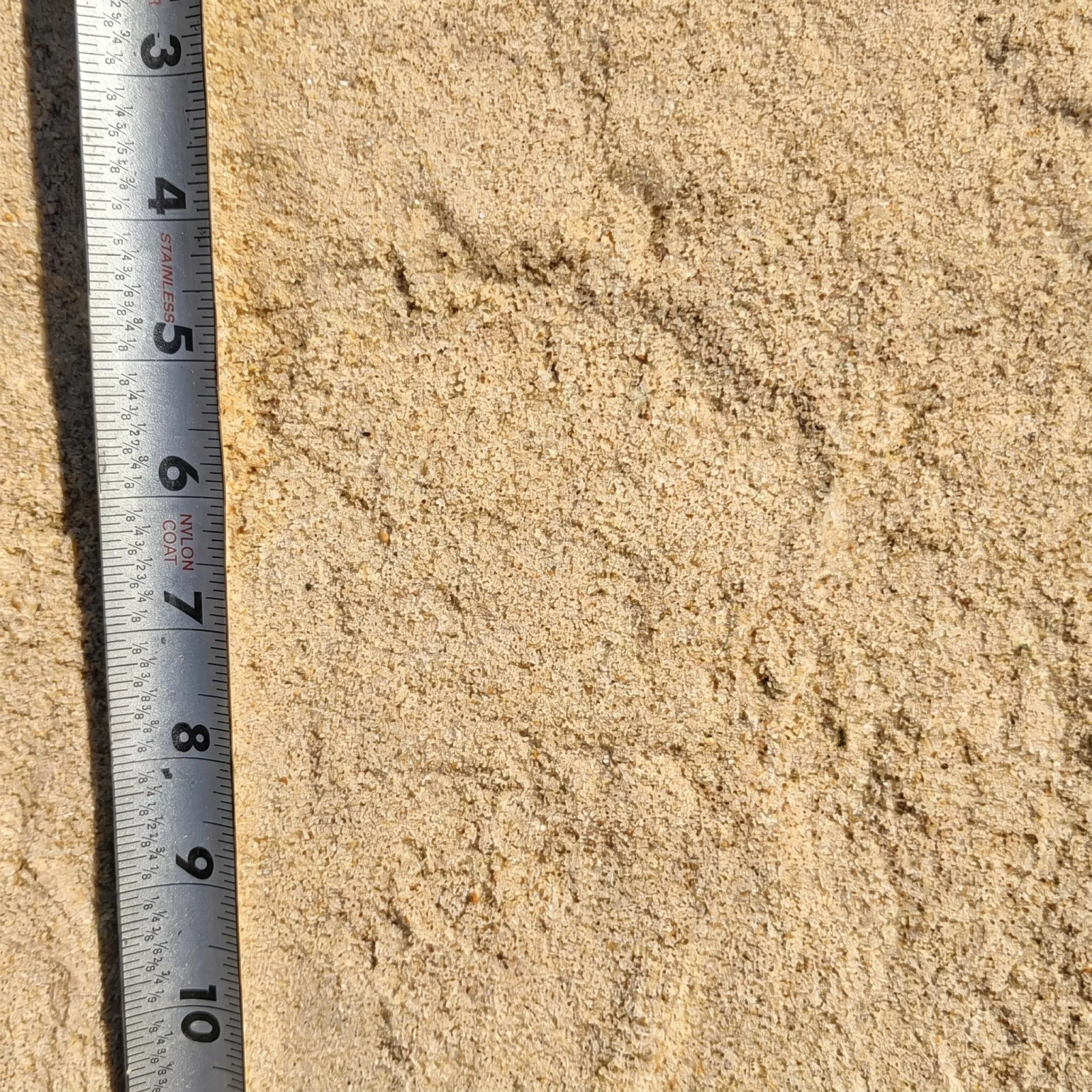 White Sand — photo 5