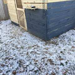 Customer photo 2