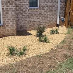 Customer photo 1