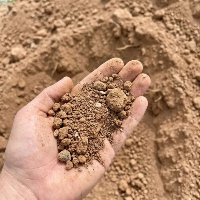 Fill Dirt
