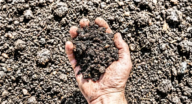 Topsoil